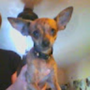 Meet your Posher, Laura